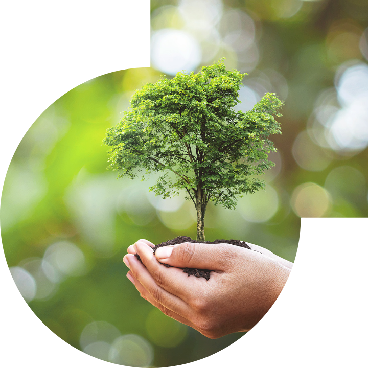 关怀人类、文化、环境与社会